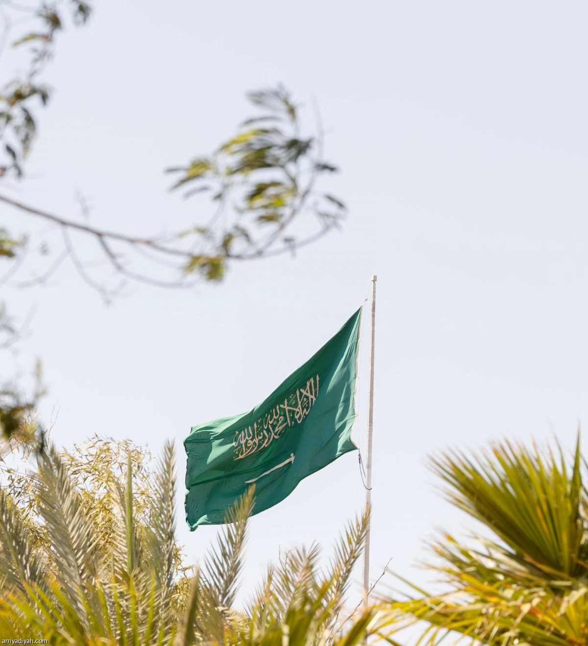 يوم العلم